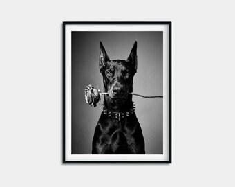 Doberman with Rose Print, Spiked Collar Dog Portrait Poster, Moody Pet Wall Art