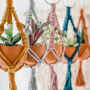 May include: Five macrame plant hangers with small terracotta pots and faux succulents. The hangers are in various colors, including mustard yellow, light blue, pink, teal, and orange.