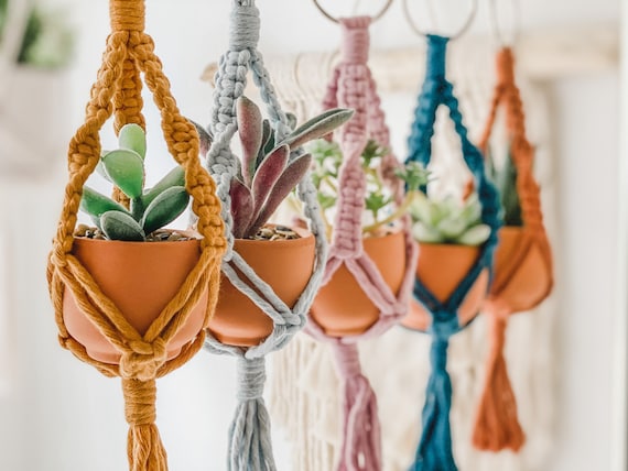 Faux succulent outlet car charm