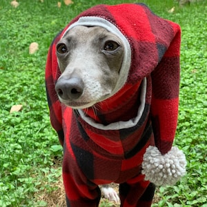 Italian Greyhound NOOD Pattern Supersuit & Superhat Set- Made to Order