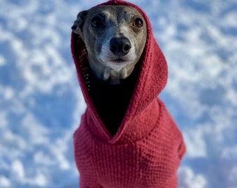 Italian Greyhound NOOD: Chunky Sweater Hoodie-Made to Order