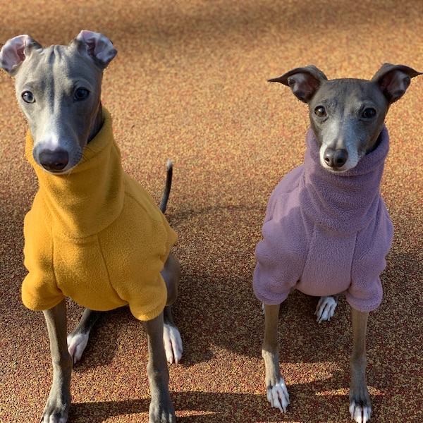 Italian Greyhound NOOD: Fleece Pullover- Made to Order