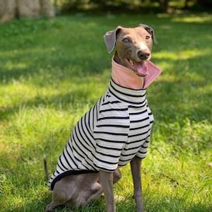 Italian Greyhound NOOD: Stripe Tee w/Pop Collar -  Made to Order