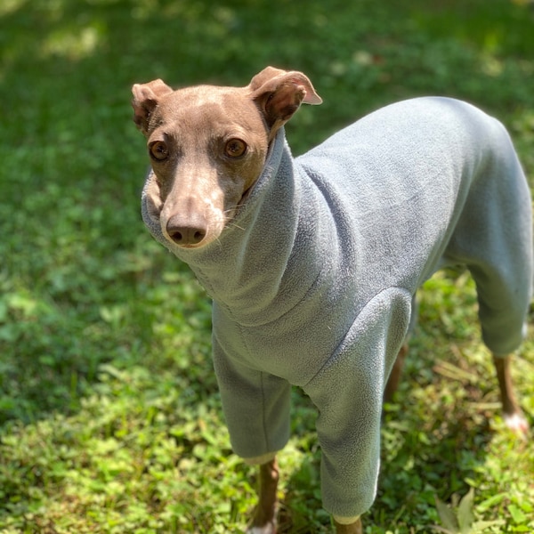 Italian Greyhound NOOD Solid Supersuit- Made to Order