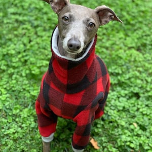 Italian Greyhound NOOD Plaid Supersuit- Made to Order