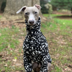 Italian Greyhound NOOD: Graphic Jacquard Turtle-  Made to Order