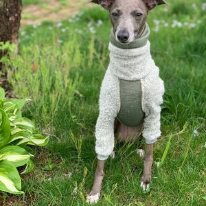 Italian Greyhound NOOD: Textural Turtle- Made to Order