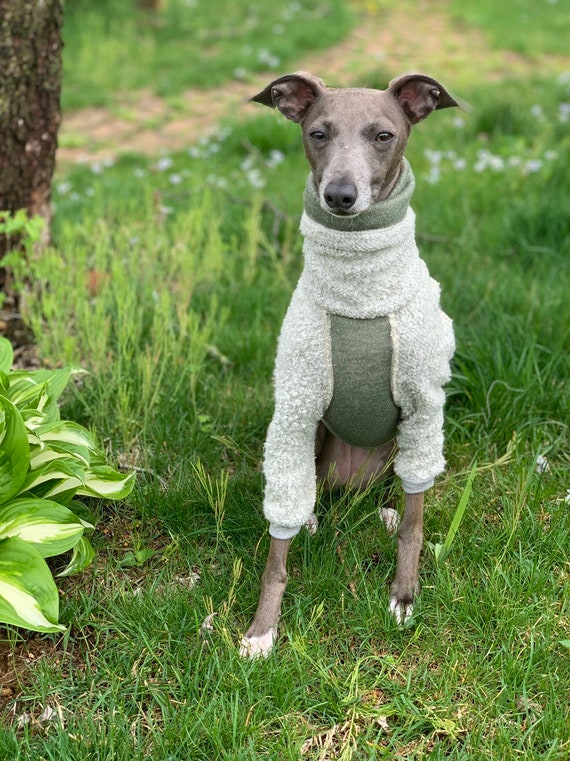 Italian Greyhound NOOD: Textural Turtle Made to Order - Etsy