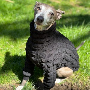 Italian Greyhound NOOD: Bubble Turtle- Made to Order