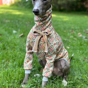 Italian Greyhound NOOD: Jacquard Turtle w/Bow- Made to Order