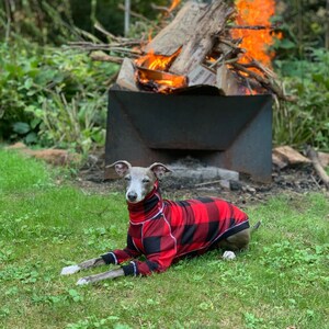 Italian Greyhound NOOD: Printed Terry Turtle-  Made to Order