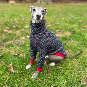Italian Greyhound NOOD: Classic Jacquard Turtle- Made to Order