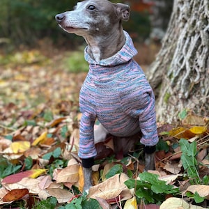 Italian Greyhound NOOD: Space Dye Hoodie - Made to Order