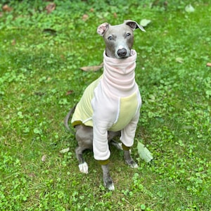 Italian Greyhound NOOD: Pastel Colorblock Turtle - Made to Order
