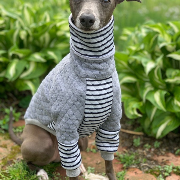 Galgo italiano NOOD SuperLounge: Stripe Quilted Stripe Mix Turtle- Made to Order