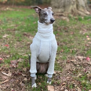 Italian Greyhound NOOD: Ski Lodge Turtle -  Made to Order