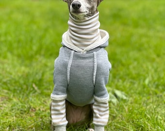 Italian Greyhound NOOD: Twofer 2.0 Basic Hoodie - Made to Order