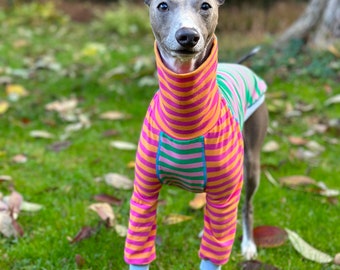 Italian Greyhound NOOD: Poppy Stripe Turtle - Made to Order