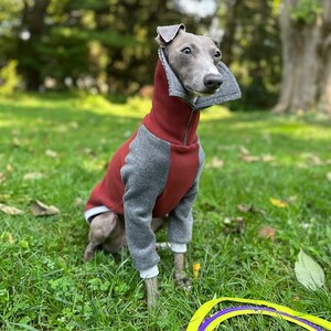 Italian Greyhound NOOD: Cozy Fleece Polo Turtle Made to Order
