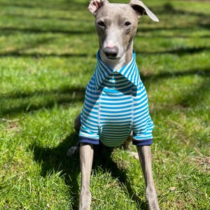 Italian Greyhound NOOD: Stripe Polo- Made to Order