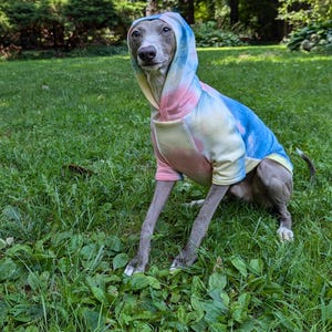 Italian Greyhound NOOD: Tie Dye Hoodie- Made to Order