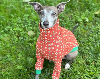 Sweat-shirt De Noël Pour Chien, Teckel Dans La Neige, Sweat
