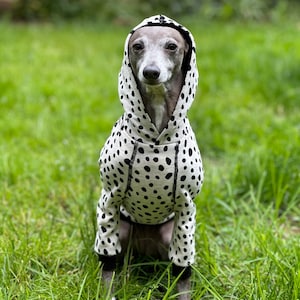 Italian Greyhound NOOD: Spotted Hoodie -  Made to Order