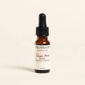 Queen Ann&#39;s Lace Flower Essence