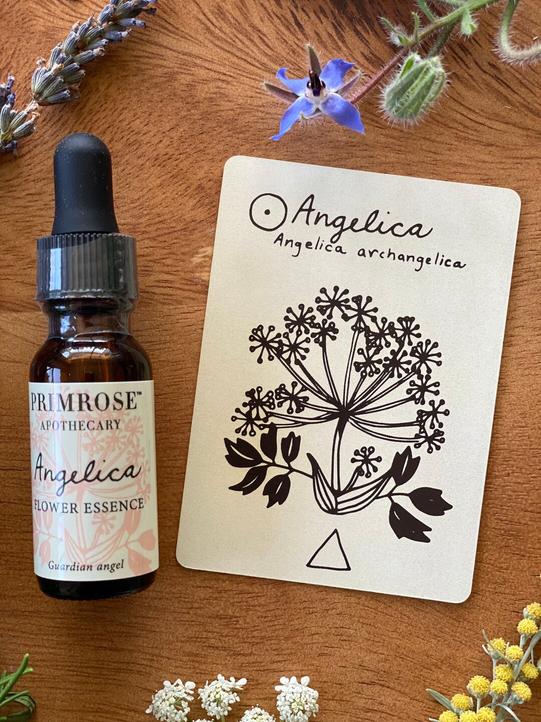 Guardian Angel Angelica Flower Essence Etsy