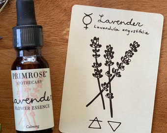 Lavender flower essence