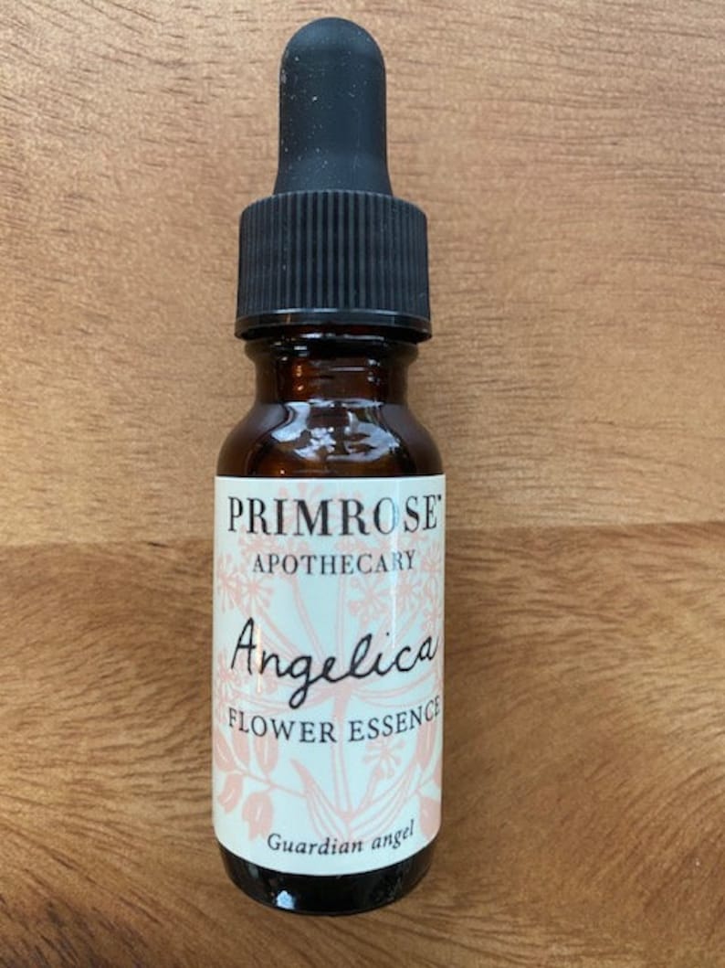 Guardian Angel Angelica Flower Essence Etsy