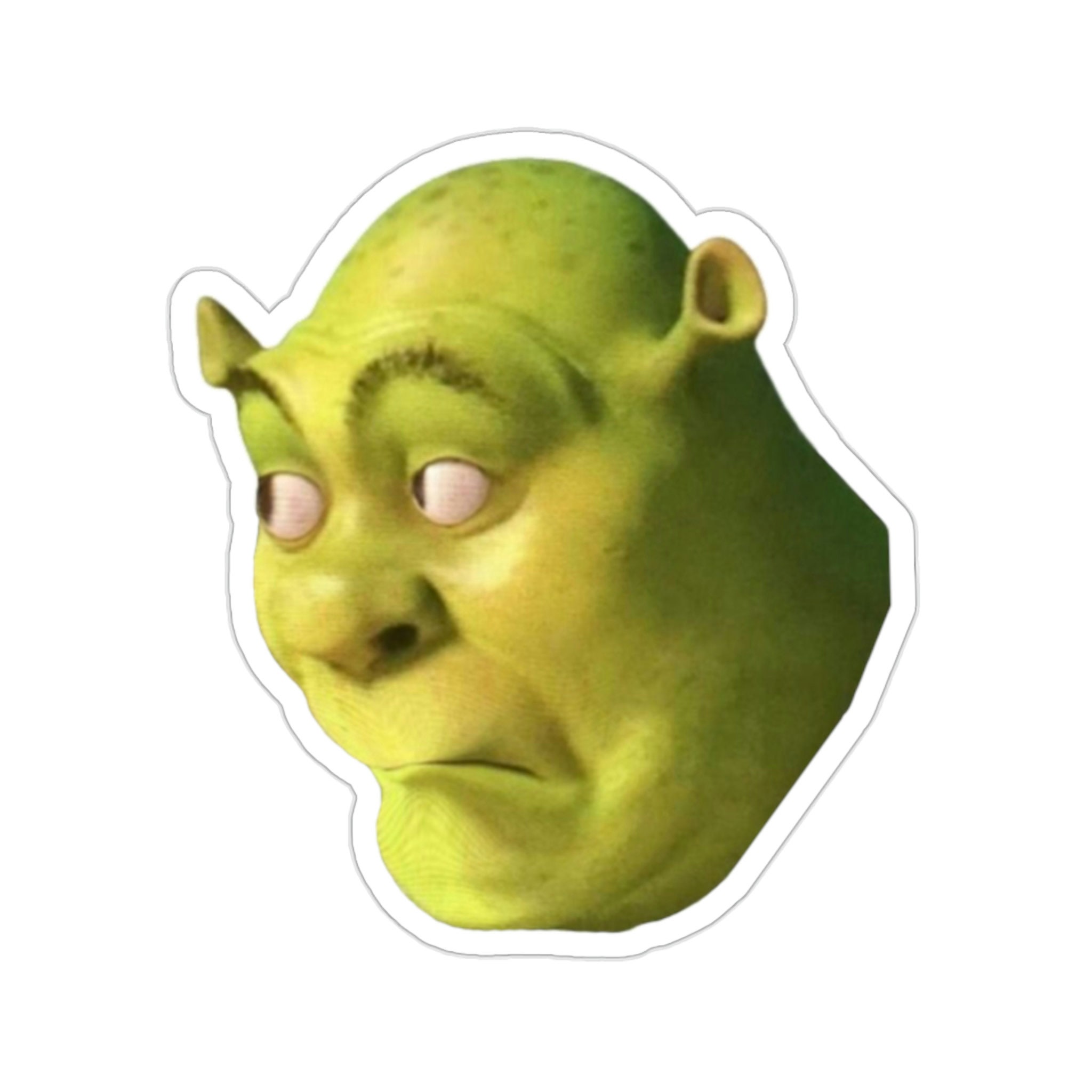 Confused Shrek sticker | Magnet