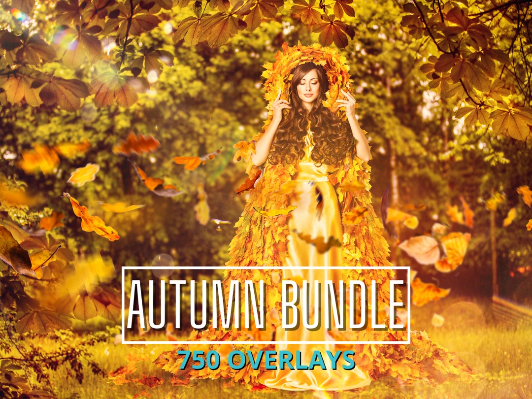 750 Fall Photo Overlays: Autumn Leaves, Lights, Branches (JPEG & PNG ...