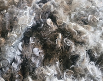 Raw Wool Lincoln Longwools Natural Colored