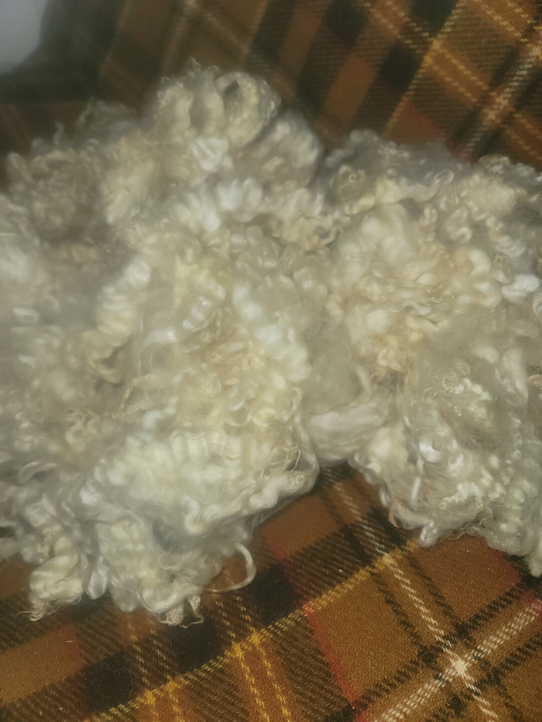 Raw Cotswold Fleece Etsy
