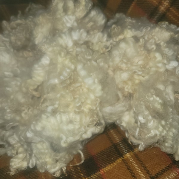 Raw Cotswold Fleece