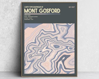 May include: A framed topographic map print of Mont Gosford, Quebec, featuring a dark gray background with cream text and a central abstract pattern of wavy, interlocking lines in shades of light pink, lavender, and muted blue-gray.