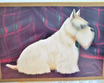 7&quot; by 5&quot; Print of A West Highland Terrier (Westie) by Paul Stagg Framed to 12&quot; by 10.5&quot;