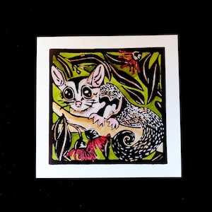 Sugar Glider - Carte de vœux linoprint de Tasmanie