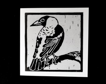 Australian Magpie - linoprint greeting card