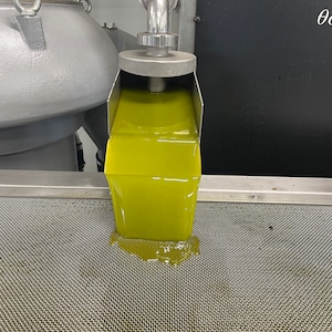 Kalamata Olive Oil/HARVEST 2024/Extra Virgin Greek Olive Oil/Unfiltered Homemade EVOO Cold Pressed /Premium Quality oil from Greece//Vegan image 1