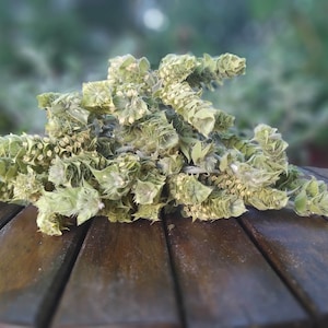 Greek Mountain Tea,Wild  Handpicked Mountain  Tea Dried, Unique Cooking Gift, Highest Quality, Sideritis Herb, Harvest 2024.