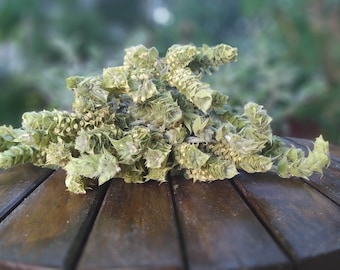May include: A bunch of dried green herbs on a wooden table. The herbs are arranged in a loose pile and have a light green color.