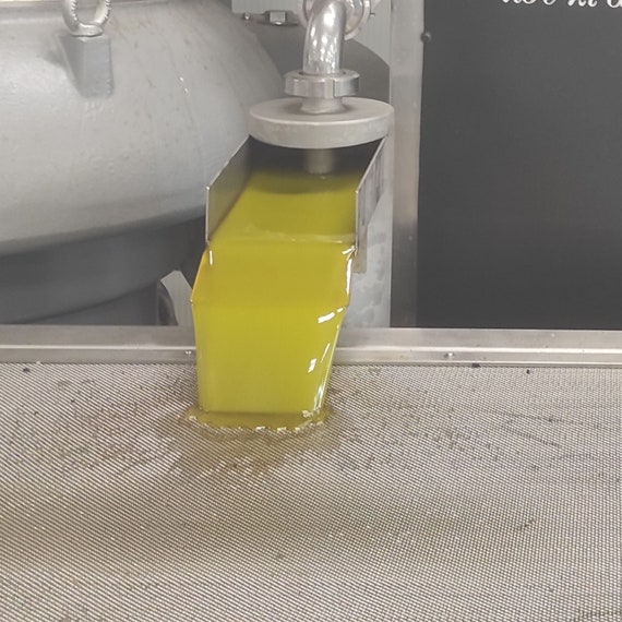 hacer aceite de oliva casero prensado en frio 
