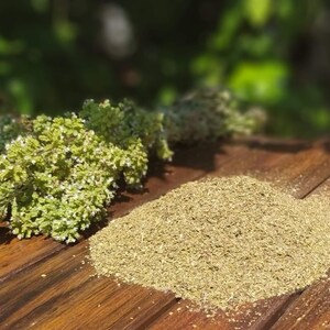 Wild Greek Oregano, Handpicked Mountain Dirfys Oregano Dried, Unique Cooking Gift, Highest Quality, Origanum Vulgare Hirtum, Harvest 2024