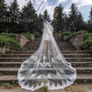 2 tier Lace Veil, Corded Lace Wedding Veil, Cathedral veil for wedding, Bridal Veil, Veil, Wedding Veil, Bridal Veil with Lace, 3m Veil