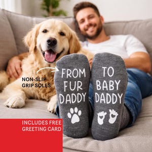 May include: Gray socks with the text "FROM FUR DADDY" and "TO BABY DADDY" in white. The socks feature a paw print and baby footprints. The image also includes a golden retriever and a person.