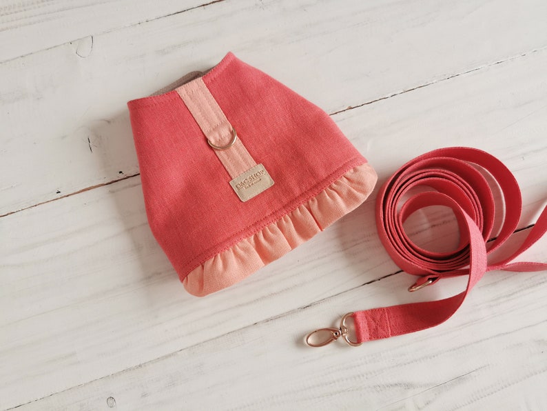 May include: A pink and peach dog harness with a ruffle trim and a gold metal D-ring. The harness has a small leather tag that says "Dog Shop". A matching pink leash is also included.