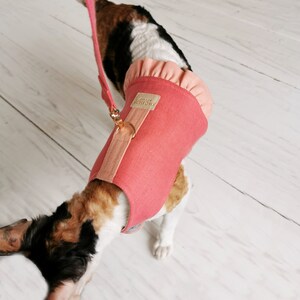 May include: A pink cat harness with a ruffled trim and the text "The Anchor" on the front. The harness is worn by a cat with a calico coat.