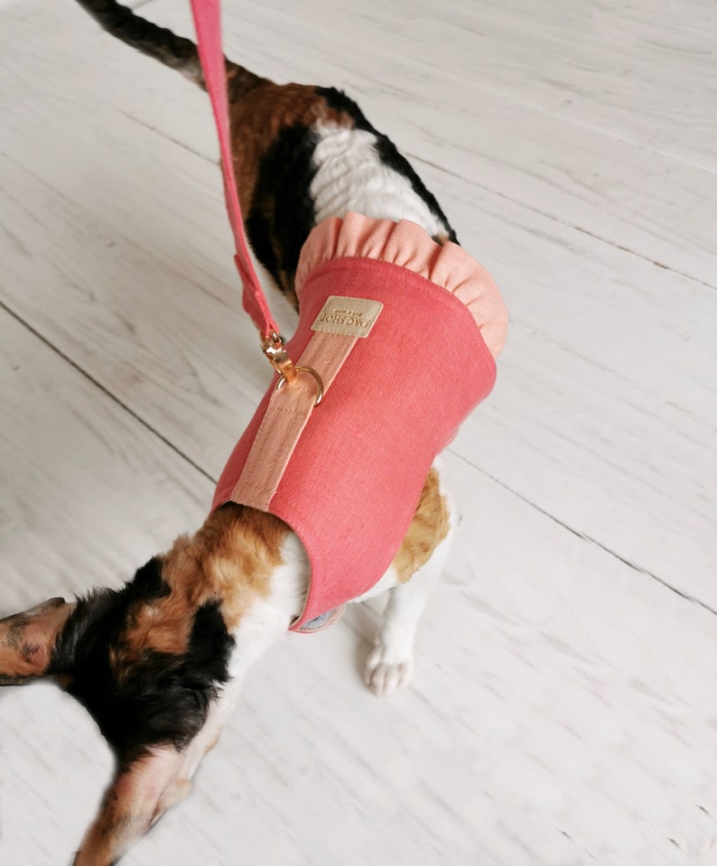 May include: A pink cat harness with a ruffled trim and the text "The Anchor" on the front. The harness is worn by a cat with a calico coat.